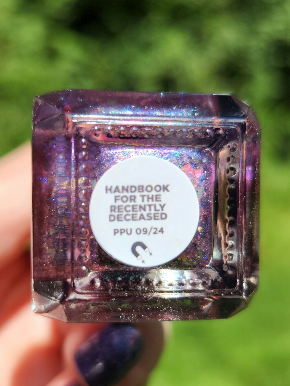 Clionadh Cosmetics ✨️ Handbook For The Recently Deceased 💀 PPU September 2024 - Picture 4 of 10